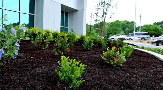 Landscape Enhancements